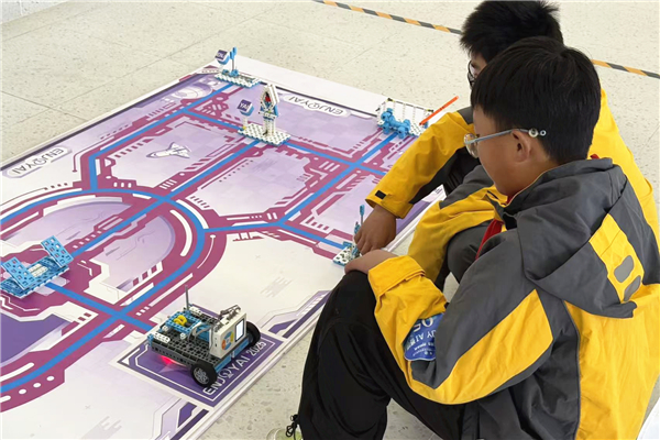 1763714176534842.jpg 12.jpg