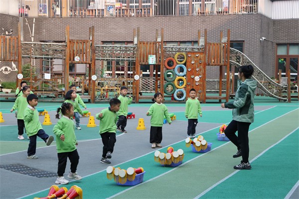 1764224184736946.jpg 11.JPG