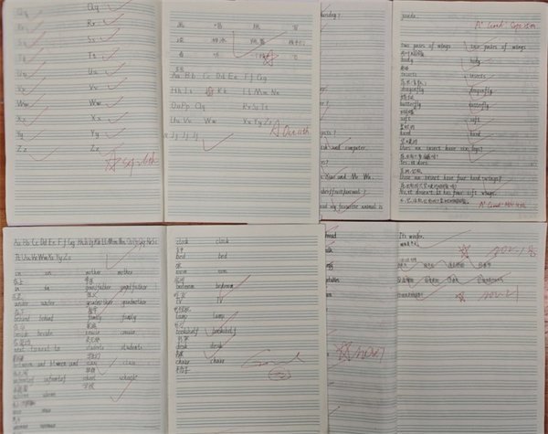 1764347059322495.jpg 10.jpg