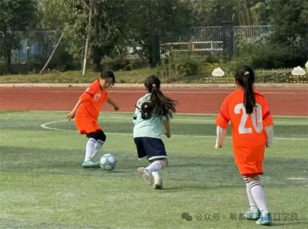 1764471125745622.jpg 640 (2).jpg