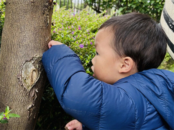 1764578183343013.jpg f607df1f67413e63a15711a40b050656.jpg