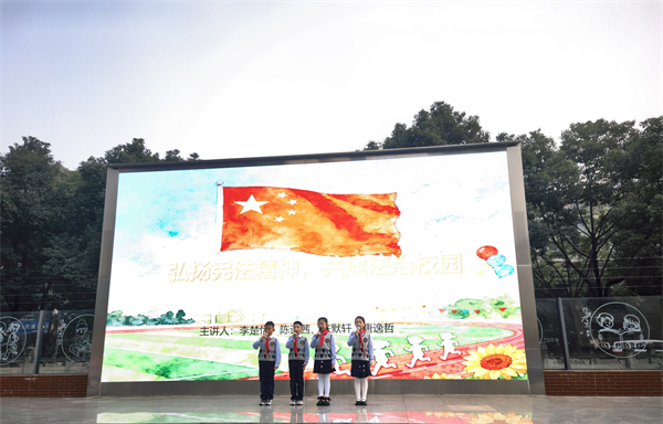 1764578597623602.jpg 4.jpg