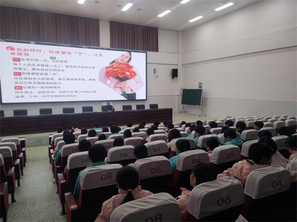 1764683116573789.png 图片2.png