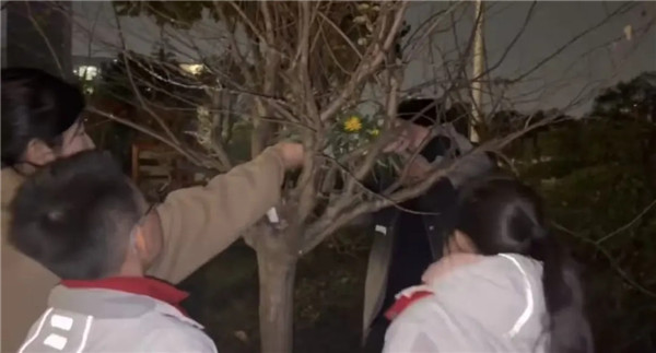 1764725276194766.jpg 20251203_000426_369.jpg