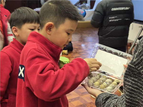 1764725308773936.jpg 20251203_000426_370.jpg