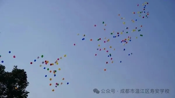 1764741447255021.jpg 20251203_135603_012.jpg