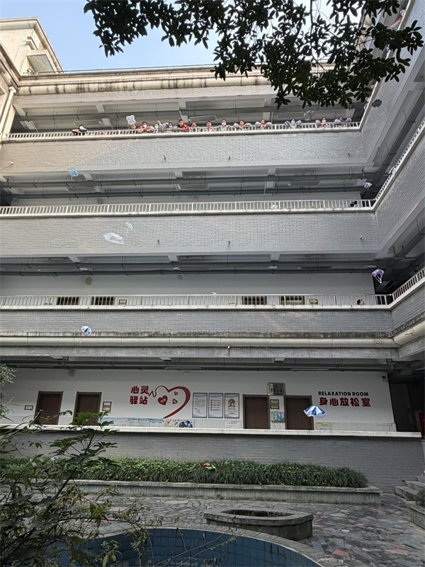 1764742631930716.jpg 1764742631930716.jpg