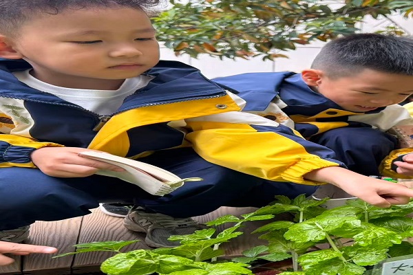 1764751363859358.jpg 222222222222222.jpg