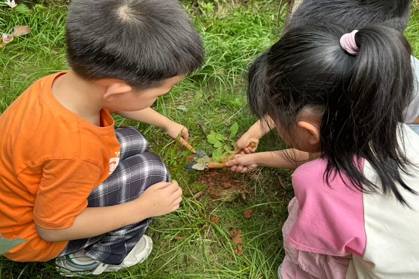 1764751687955353.jpg 222222222222222.jpg