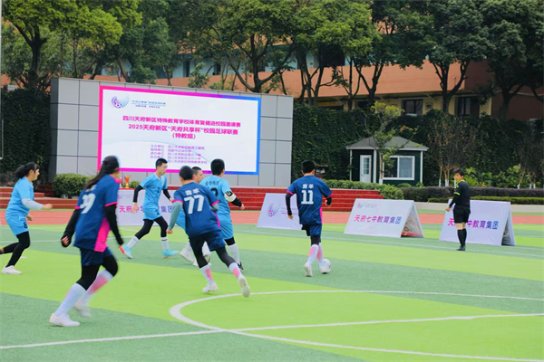 1765087409536156.jpg 图2.jpg