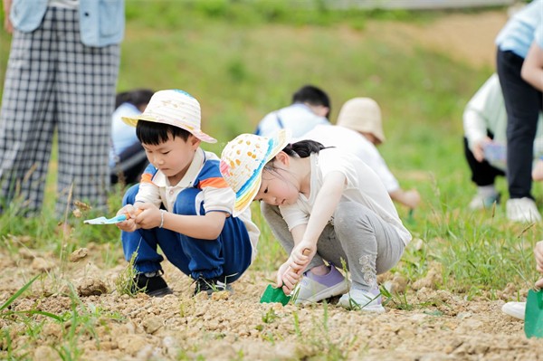 1765177187905540.jpg (四)综合实践,促进儿童全面发展1.jpg