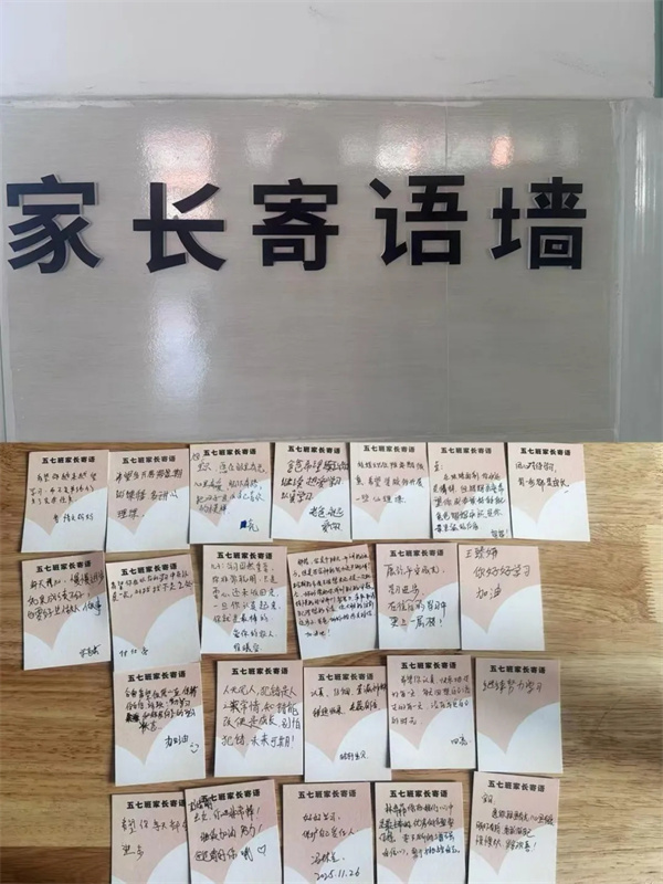 1765241853786539.jpg 1765241853786539.jpg