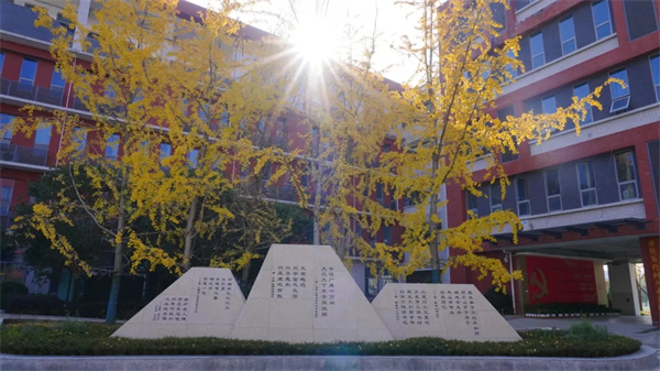 1765241910586037.jpg 20251208_224936_114.jpg