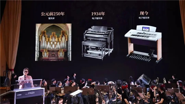 1765241990524304.jpg 20251208_224338_056.jpg