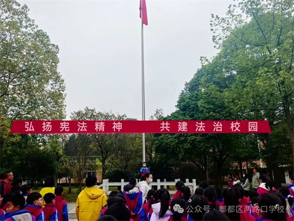 1765329446485655.jpg 20251209_220251_032.jpg