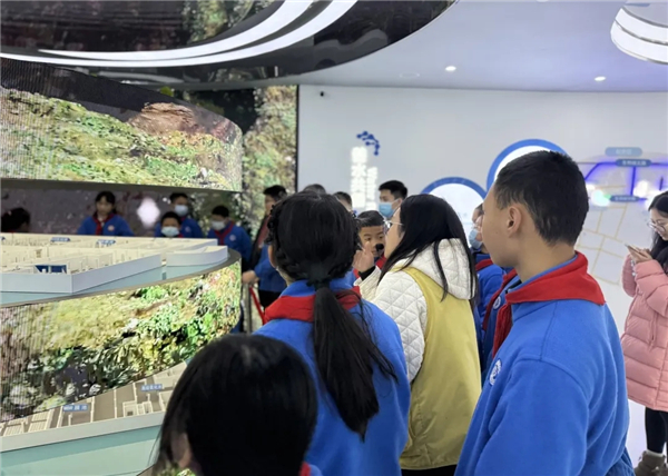 1765330786982561.jpg 20251209_220317_054.jpg