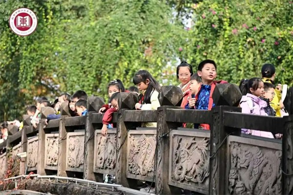 1765331898222718.jpg 20251209_221611_419.jpg