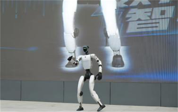 1765335289490510.jpg 图片3.jpg