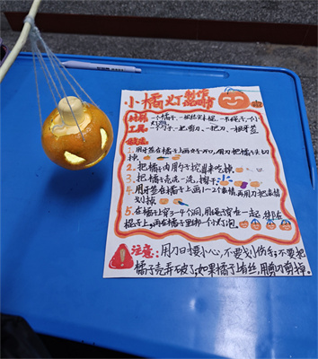 1765346632636743.jpg IMG_20251208_103321.jpg