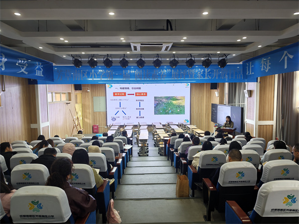 1765421214851097.jpg 8.jpg