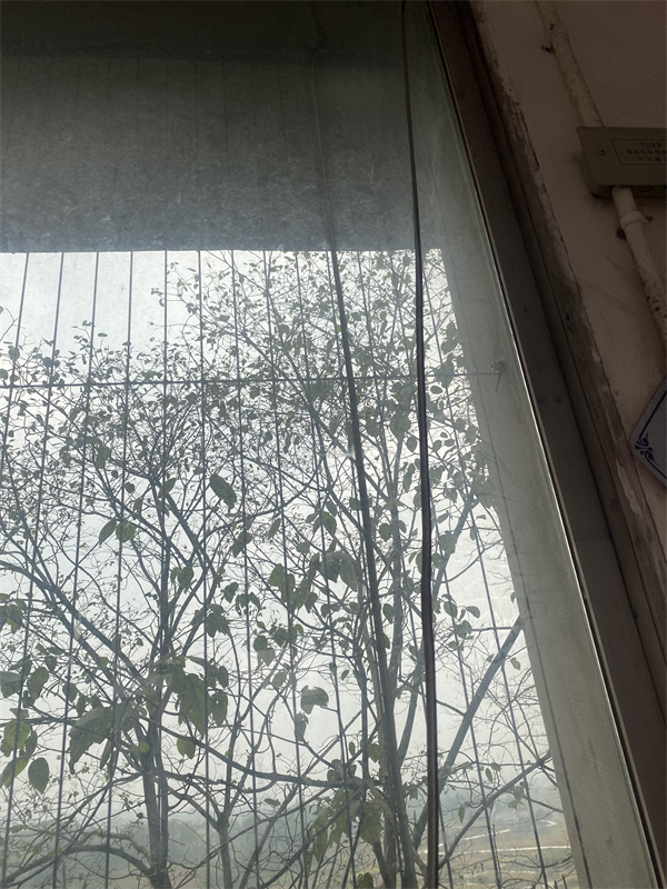 1765871703910675.png 图片31.png