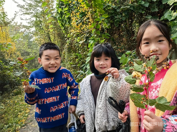 1765937502485496.jpg mmexport1765935197833.jpg