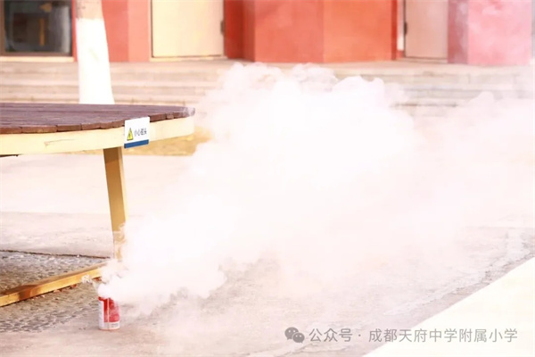 1766021007908758.jpg 20251217_230241_021.jpg