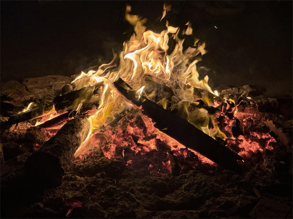 1766137549163094.png 图片33.png