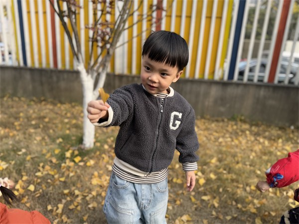 1766389839775789.jpg 图片 3.jpg