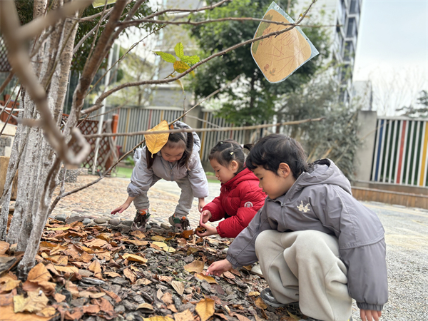 1766389847105034.jpg 图片 6.jpg