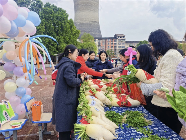 1767088156252821.jpg mmexport1767084002789.jpg