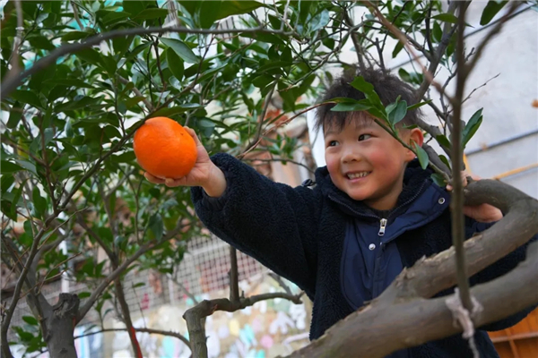 1767142385944498.jpg 20251230_212915_003.jpg