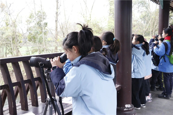 1767662444666676.jpg mmexport1767617106352.jpg