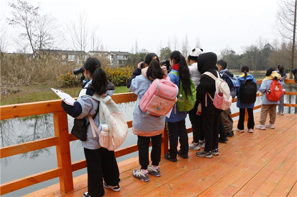 1767662451592952.jpg mmexport1767617117782.jpg