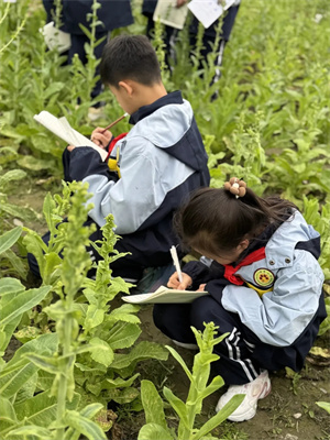 1767770061193651.jpg 20260107_000151_413.jpg