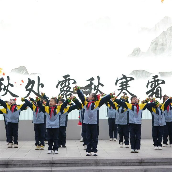 1767775217993231.jpg mmexport1767767757384.jpg