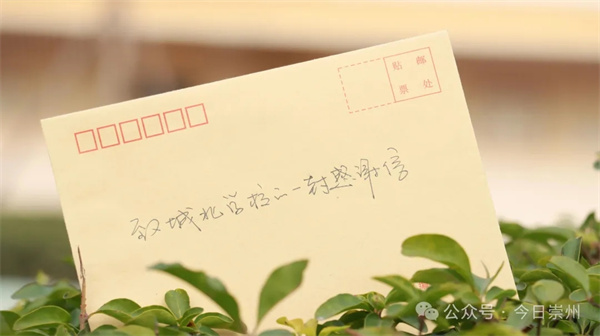 1768353069985458.jpg 20260113_230804_002.jpg