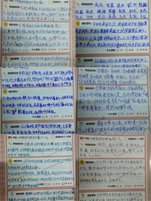 1768553999422975.jpg 7.jpg