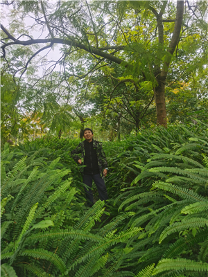 1769043762598771.jpg 图片1.jpg