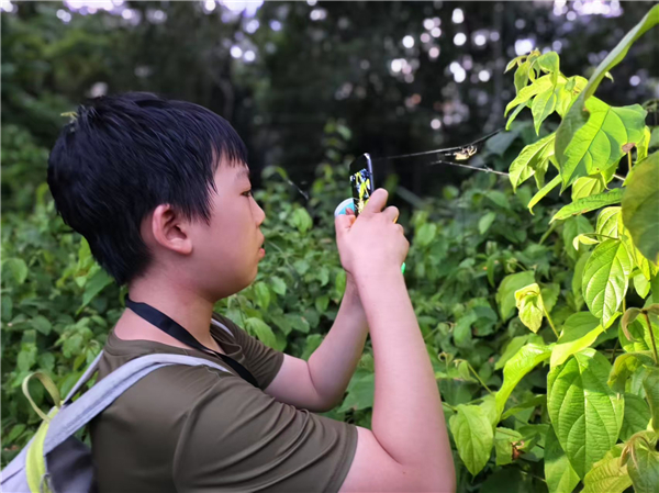 1769043766414405.jpg 图片1-1.jpg