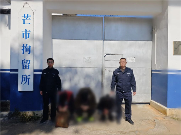 1769685586945786.png QQ图片20260129191854.png