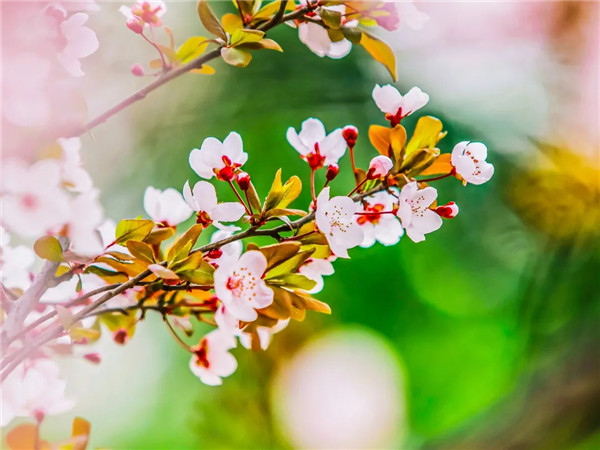 1772413050136443.jpg 20260301_232026_244.jpg