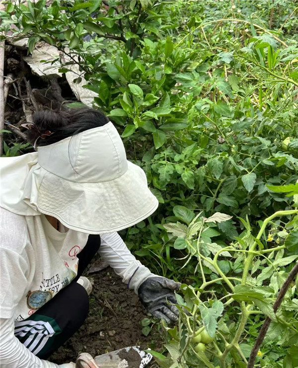 1772415316449196.jpg 1772415316449196.jpg