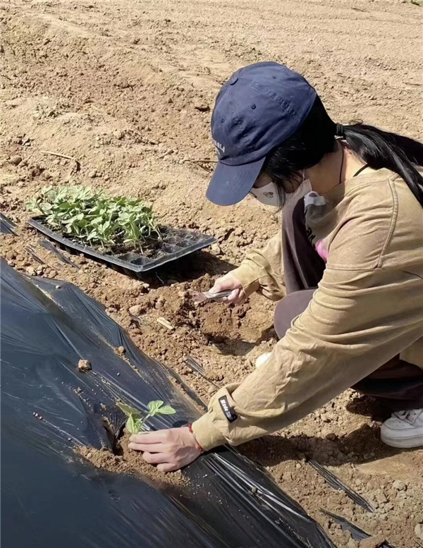 1772415316976502.jpg 1772415316976502.jpg