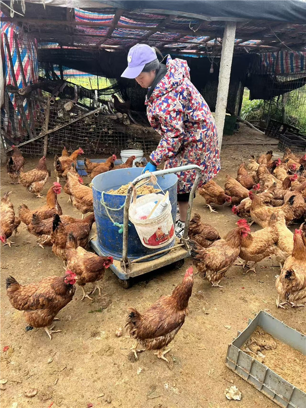 1772415507783402.jpg 1772415507783402.jpg