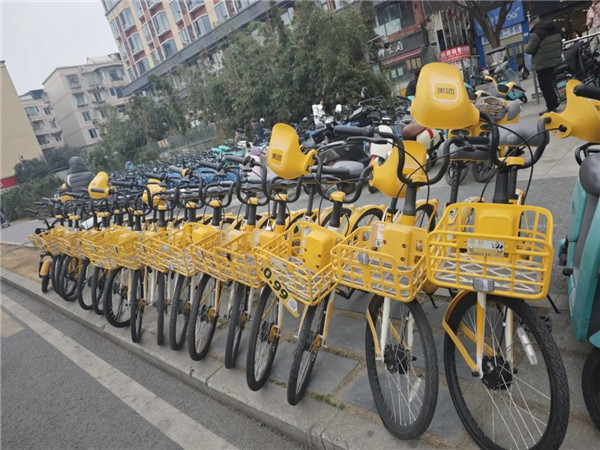 1772590588488166.jpg 20260303_192557_295.jpg