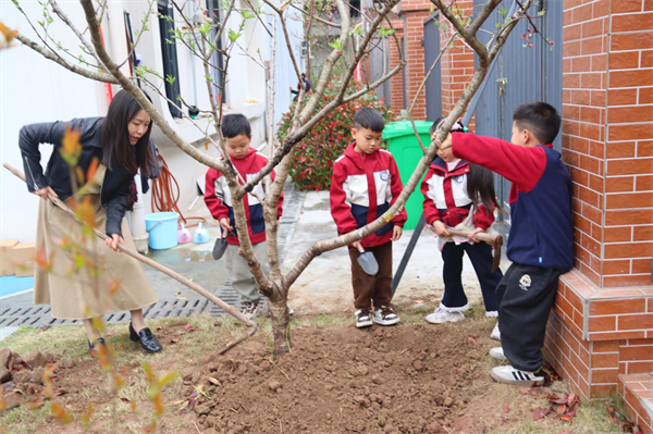 1773396247526791.png 图片2.png