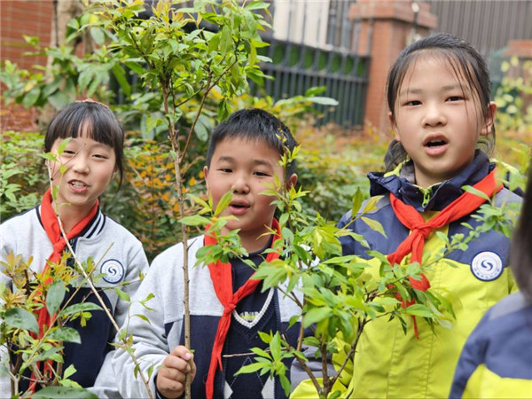 1773448705698094.jpg 1.jpg