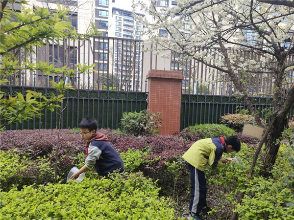 1773448773714026.jpg 26.jpg