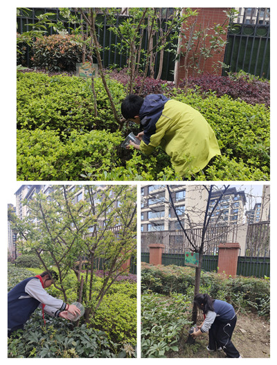 1773448800879491.jpg 28.jpg